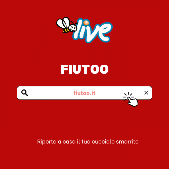 fiutoo